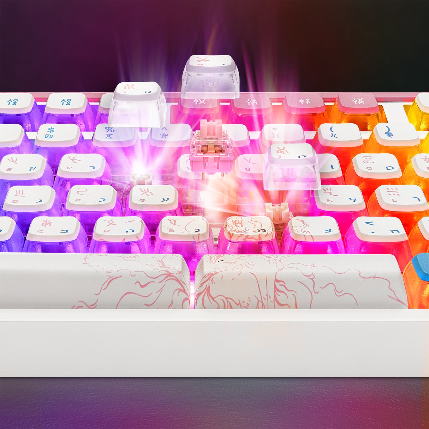 מבנה Gasket Mount